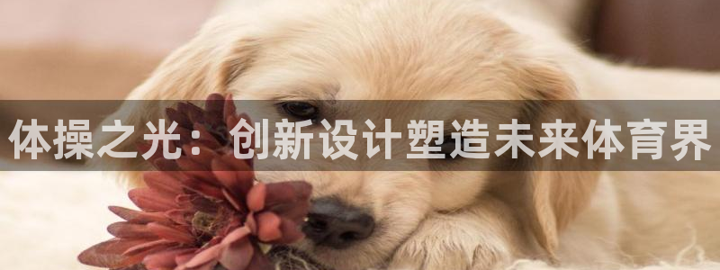 vsport体育：体操之光：创新设计塑造未来体育界