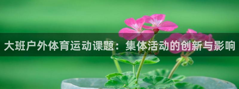 vsport体育在线官网：大班户外体育运动课题：集体活动的创新与影响