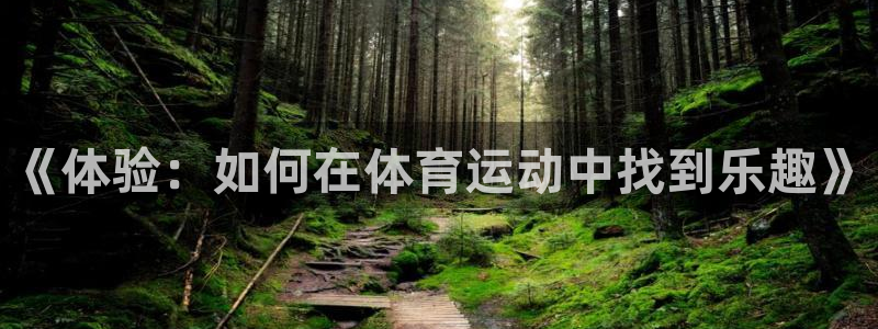 vsport体育：《体验：如何在体育运动中找到乐趣》