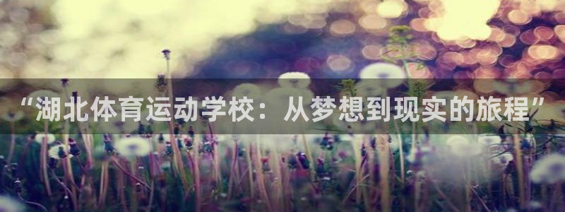 vsport体育：“湖北体育运动学校：从梦想到现实的旅程”