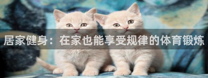 vsport体育在线官网：居家健身：在家也能享受规律的体育锻炼