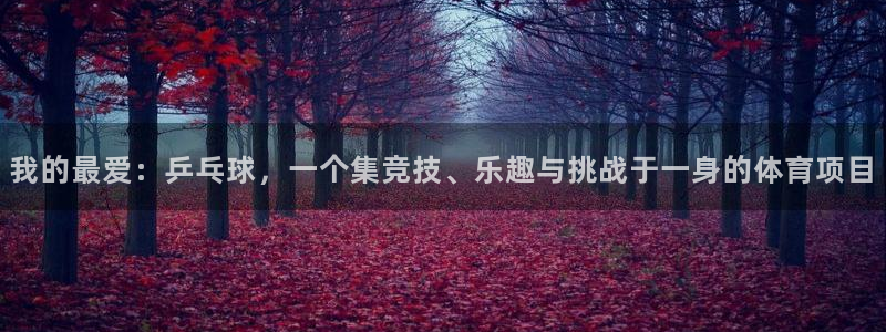 vsport体育在线官网：我的最爱：乒乓球，一个集竞技、乐趣与挑战于一身的体育项目