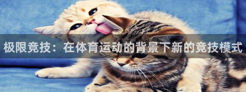 vsport体育：极限竞技：在体育运动的背景下新的竞技模式