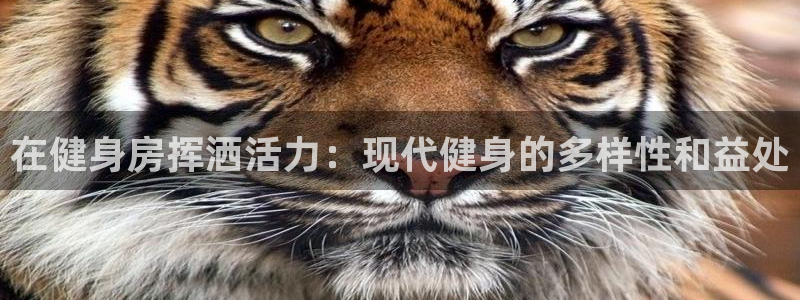 vsport体育：在健身房挥洒活力：现代健身的多样性和益处