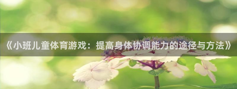 vsport体育：《小班儿童体育游戏：提高身体协调能力的途径与方法》
