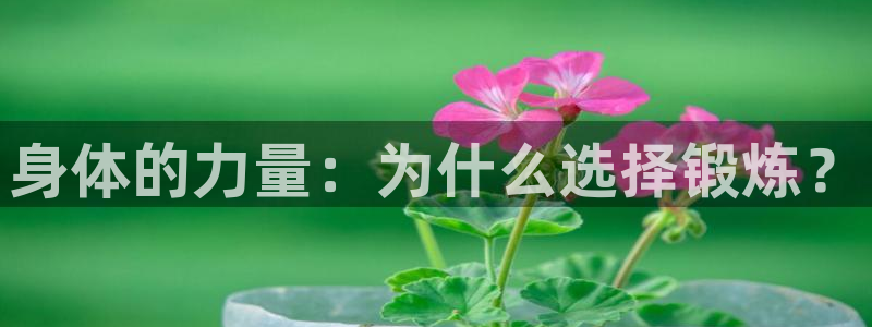 vsport体育：身体的力量：为什么选择锻炼？