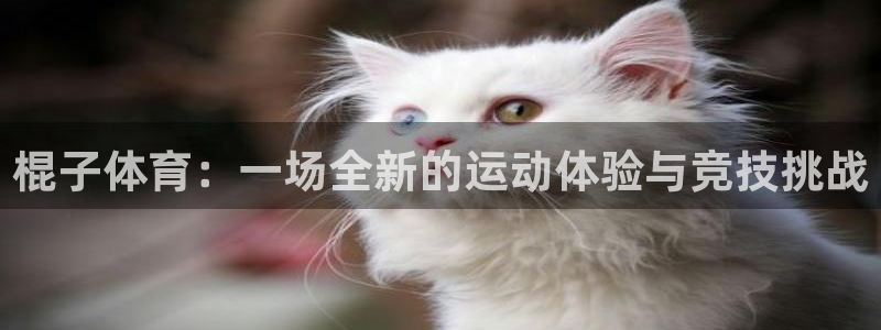 vsport体育在线官网：棍子体育：一场全新的运动体验与竞技挑战