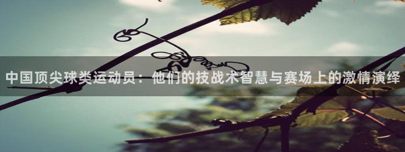 vsport体育：中国顶尖球类运动员：他们的技战术智慧与赛场上的激情演绎