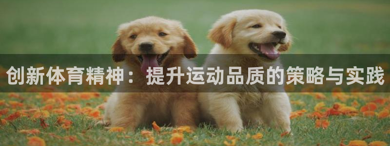 vsport体育在线官网：创新体育精神：提升运动品质的策略与实践